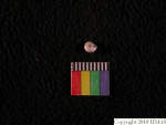 L_V22d6615 J4q278.1 T831 dM sh f21
